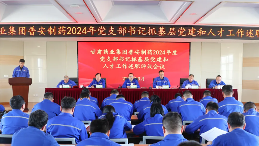 ãæ®å®æ°é»ãæ®å®å¶è¯å¬å¼2024å¹´åº¦åæ¯é¨ä¹¦è®°æåºå±åå»ºåäººæå·¥ä½è¿°èè¯è®®èæ ¸ä¼è®®